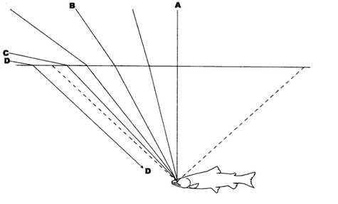 Frank ICSE Class 10 Physics Solutions Light 38