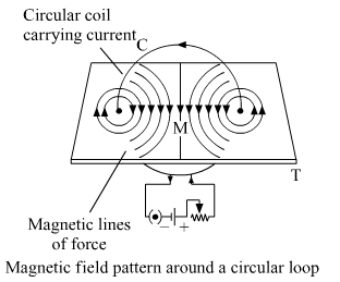 Lakhmir Singh Biology Class 10 Solutions Model Test Paper 3 10
