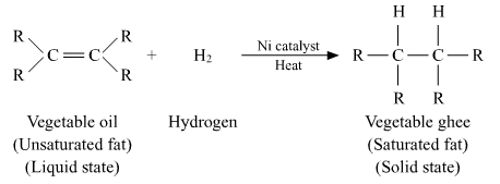 Lakhmir Singh Biology Class 10 Solutions Model Test Paper 4 4