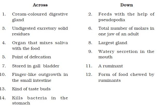 Nutrition in Animals