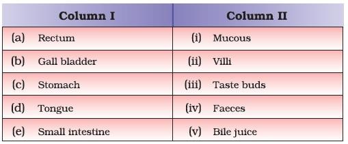 Nutrition in Animals
