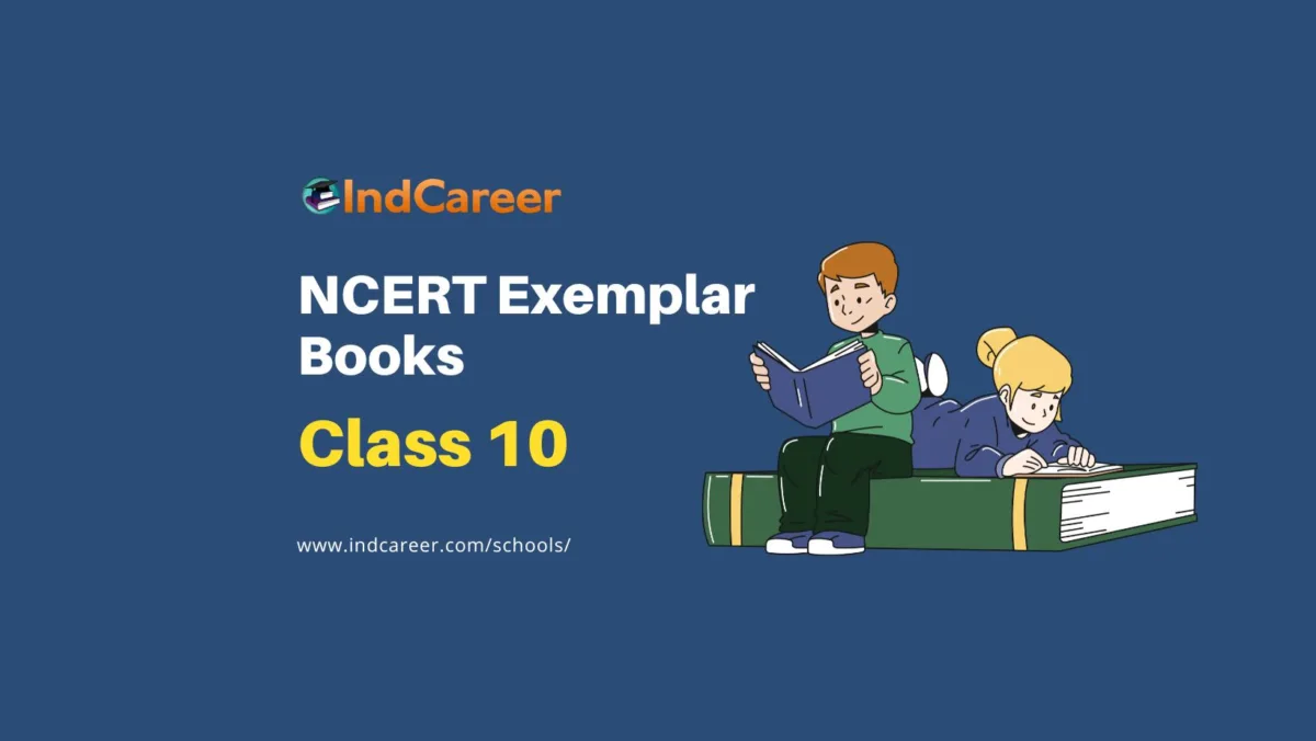 NCERT Exemplar Books for Class 10: A Comprehensive Guide